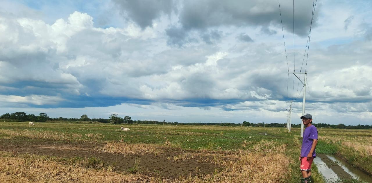 Farmer standing in a rice field in San Carlos City, Ilocos Region