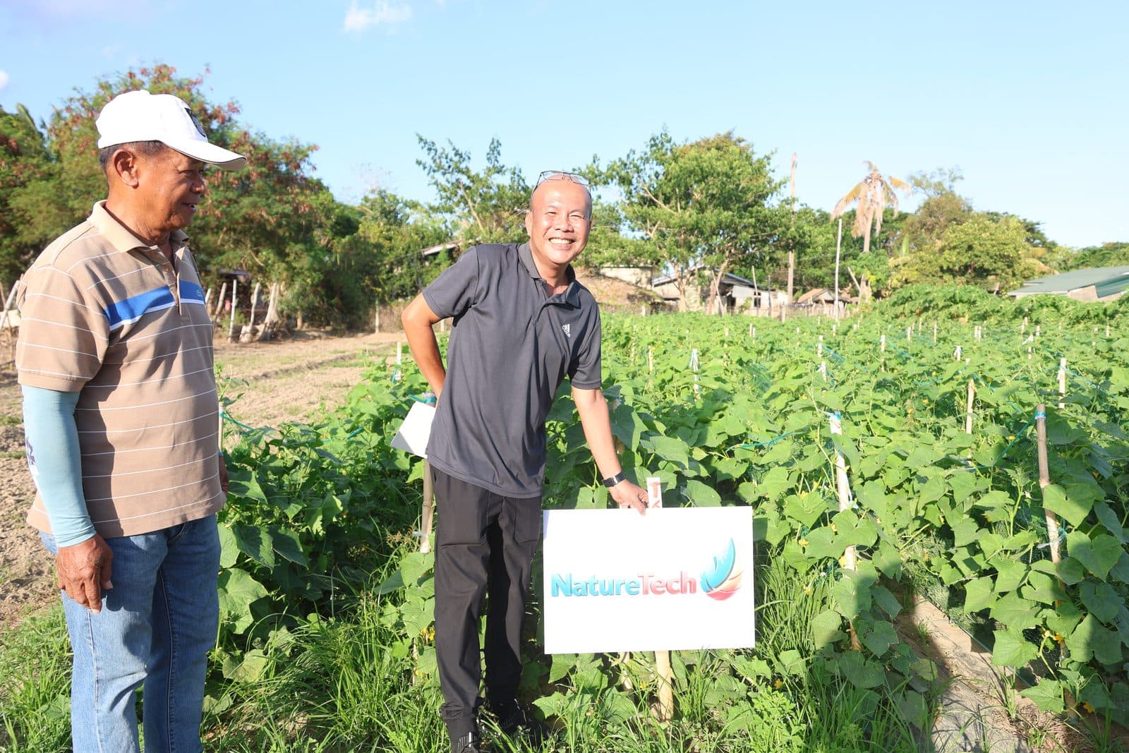 Sir Jojo with a partner farmer at the cucumber field trial
