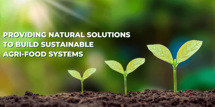 Providing natural solutions to build sustainable agri-food systems